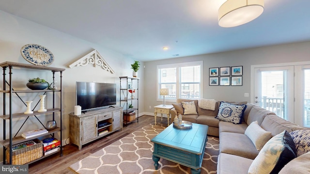 living room featuring hardwood / wood-style flooring