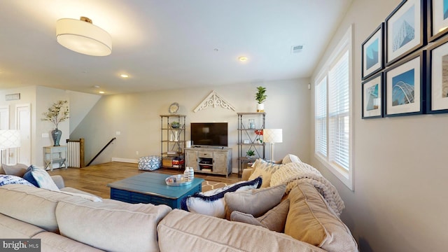 living room with wood-type flooring