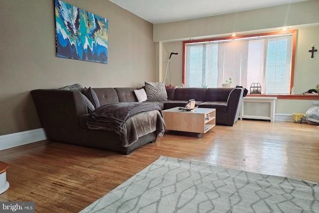 living room with radiator and light hardwood / wood-style flooring