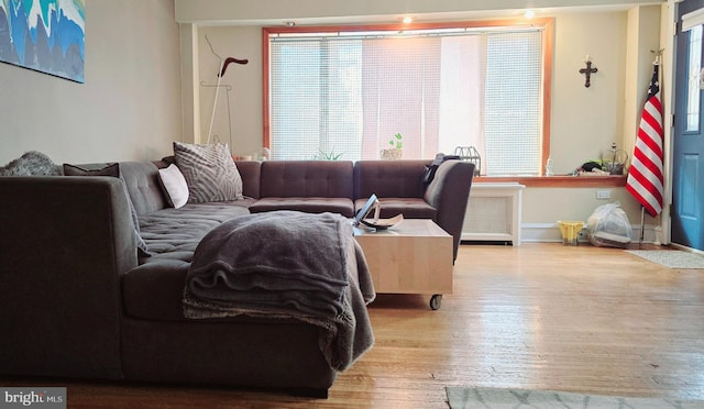 living room featuring light hardwood / wood-style flooring