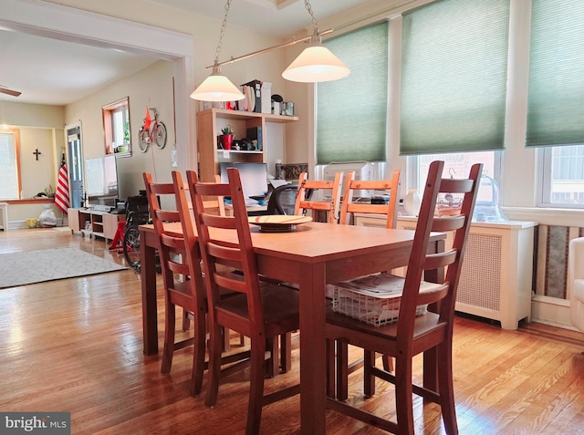 dining room with hardwood / wood-style flooring and radiator