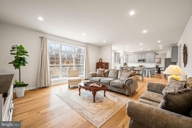 living room with light hardwood / wood-style flooring