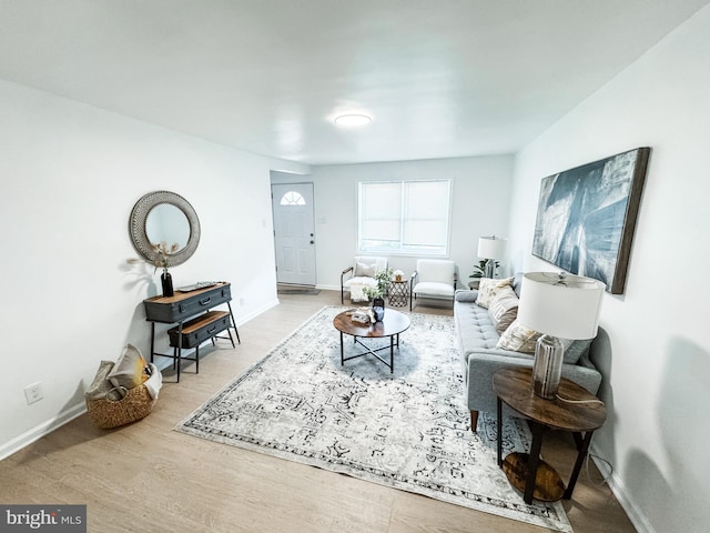 living room with hardwood / wood-style floors