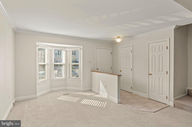 carpeted empty room featuring crown molding