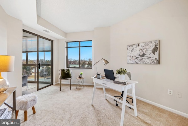 office space with light carpet, baseboards, and visible vents