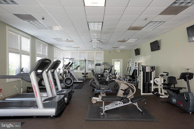 workout area featuring a paneled ceiling