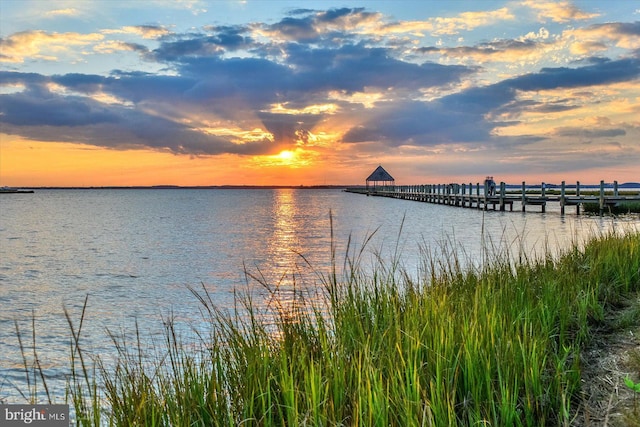 property view of water with a dock