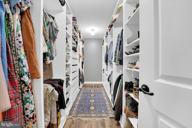 spacious closet featuring hardwood / wood-style flooring