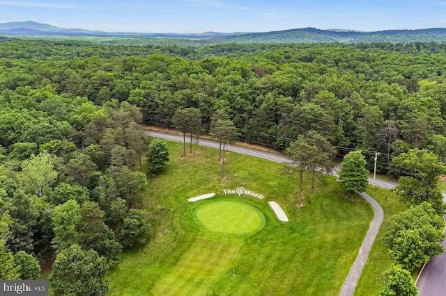 birds eye view of property with a mountain view