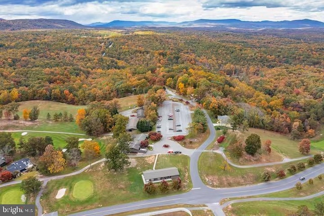 drone / aerial view with a mountain view