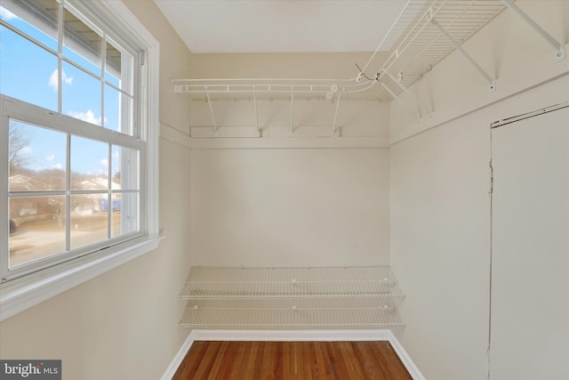 walk in closet featuring hardwood / wood-style floors