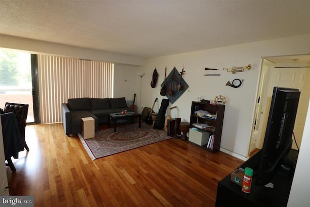 living room with wood-type flooring