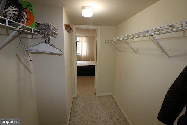 spacious closet featuring light carpet