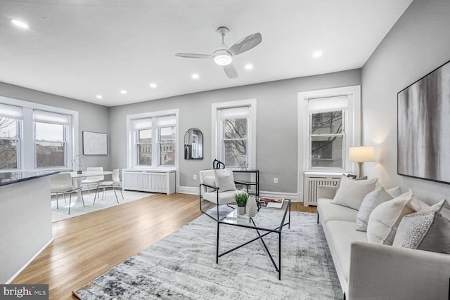 living room featuring ceiling fan, radiator, and light wood-type flooring