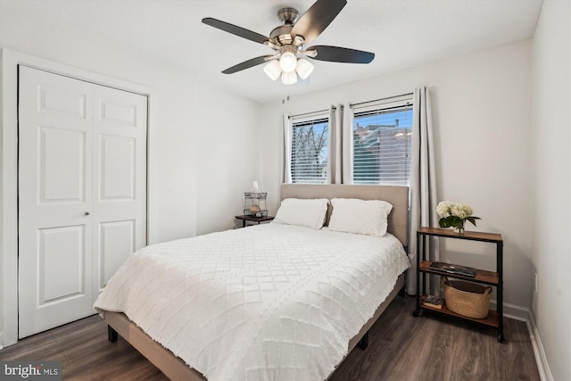 bedroom featuring dark hardwood / wood-style floors, ceiling fan, and a closet