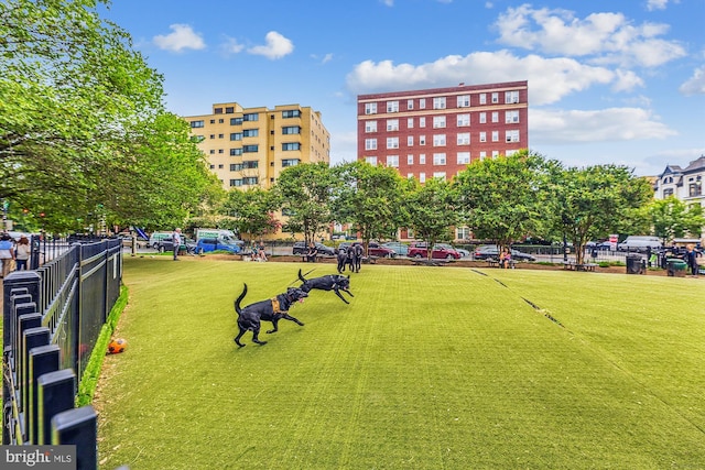 view of property's community with a yard