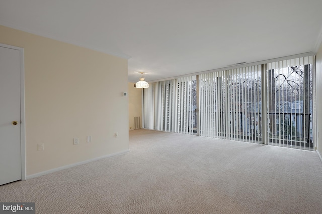 spare room featuring carpet floors and a wall of windows