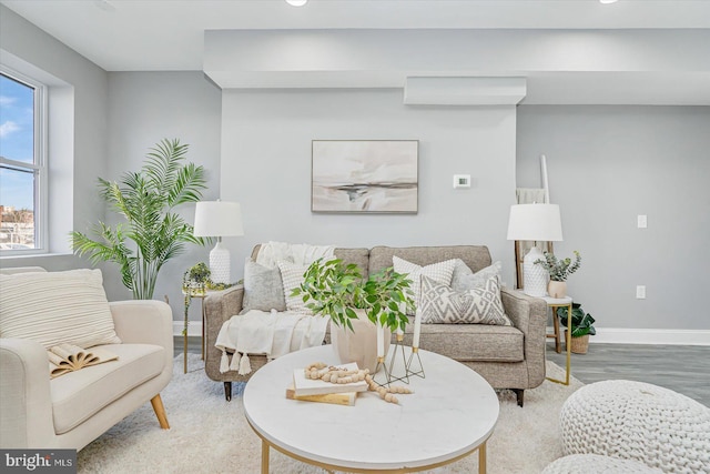 living room with hardwood / wood-style floors