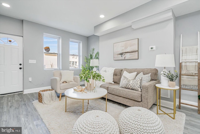 living room featuring hardwood / wood-style floors