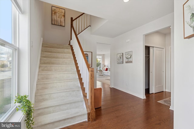 stairway with hardwood / wood-style floors