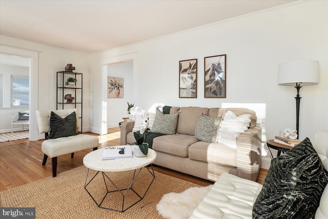 living room with wood-type flooring