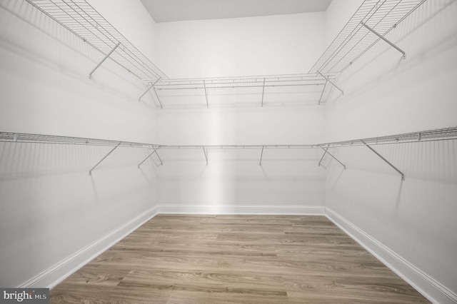 spacious closet featuring hardwood / wood-style floors