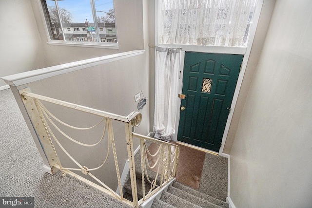 foyer entrance featuring carpet flooring