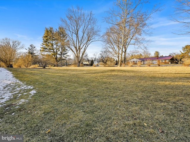 420 Ridge Rd, Orwigsburg, PA 17961 - view of grassy yard
