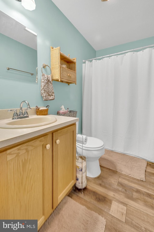 bathroom featuring wood-type flooring, toilet, and vanity