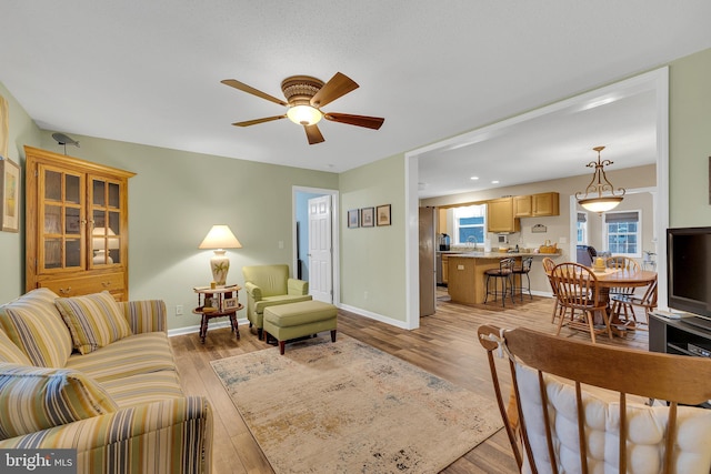 living room with light hardwood / wood-style floors and ceiling fan