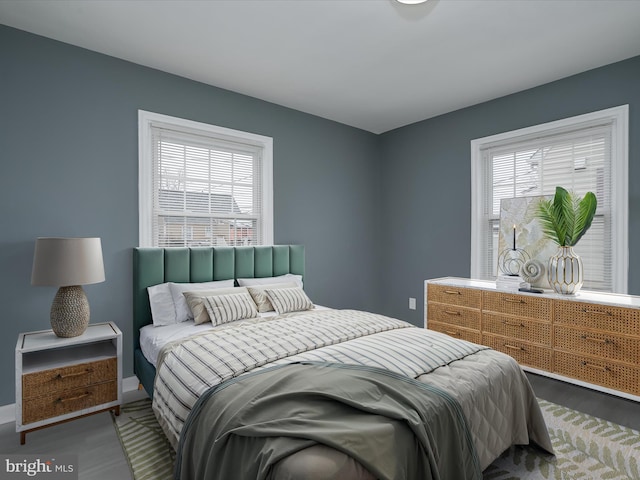 bedroom featuring multiple windows and wood-type flooring