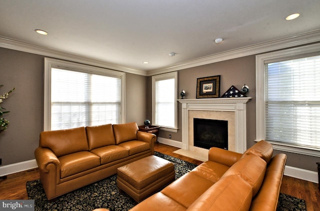 living room with crown molding, a fireplace, and dark wood-type flooring