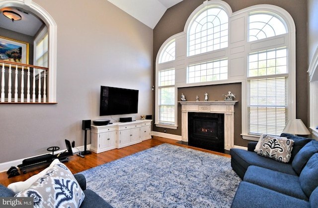 living room with hardwood / wood-style flooring and high vaulted ceiling