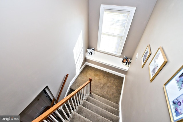 staircase featuring carpet