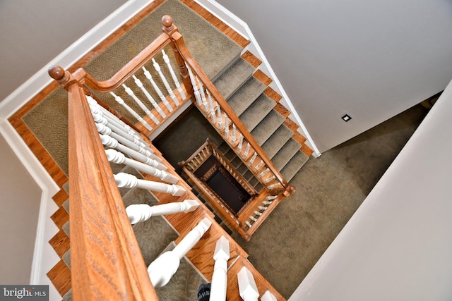 stairway with hardwood / wood-style flooring