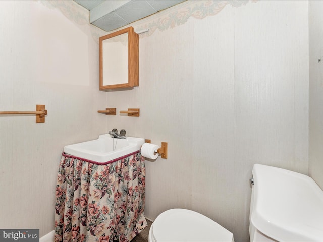 bathroom with sink and toilet