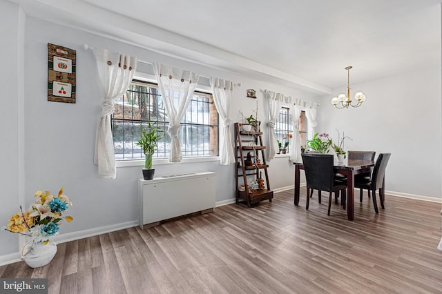 dining room with a notable chandelier and hardwood / wood-style flooring