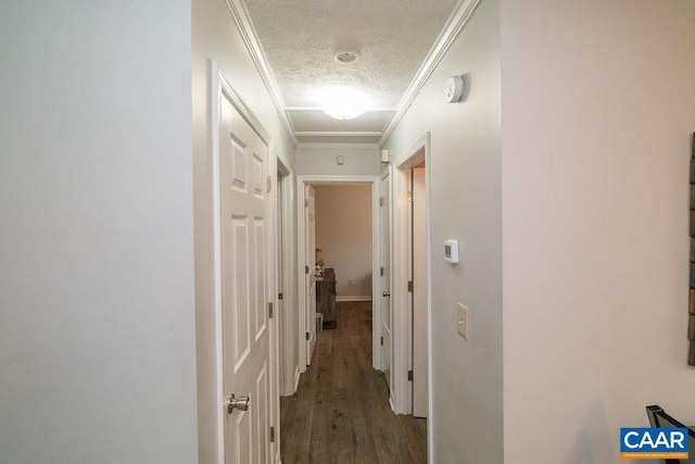 hallway featuring ornamental molding, dark hardwood / wood-style floors, and a textured ceiling