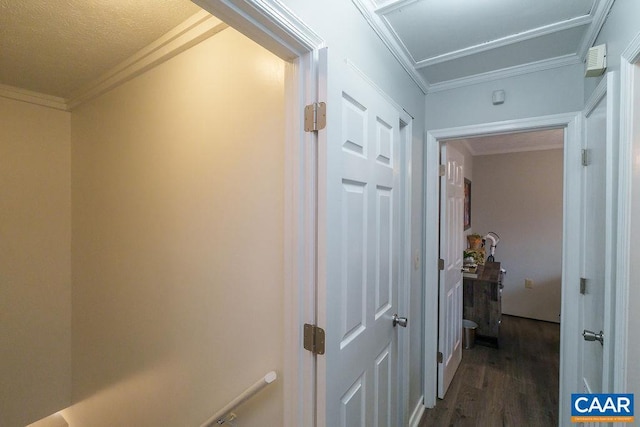 hallway with crown molding and dark hardwood / wood-style floors