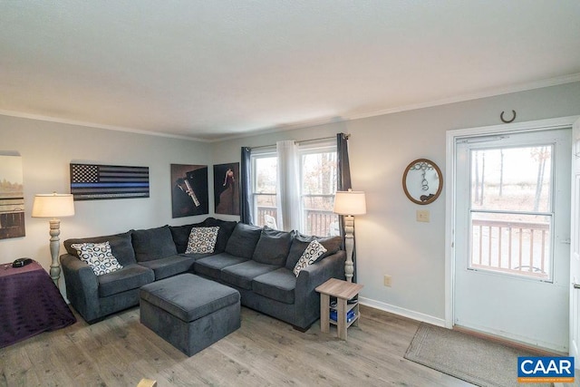 living room featuring crown molding and hardwood / wood-style floors