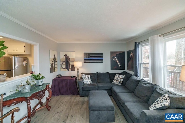 living room with crown molding and light wood-type flooring