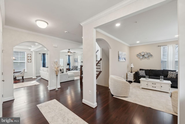 living room with ceiling fan, ornamental molding, and dark hardwood / wood-style flooring