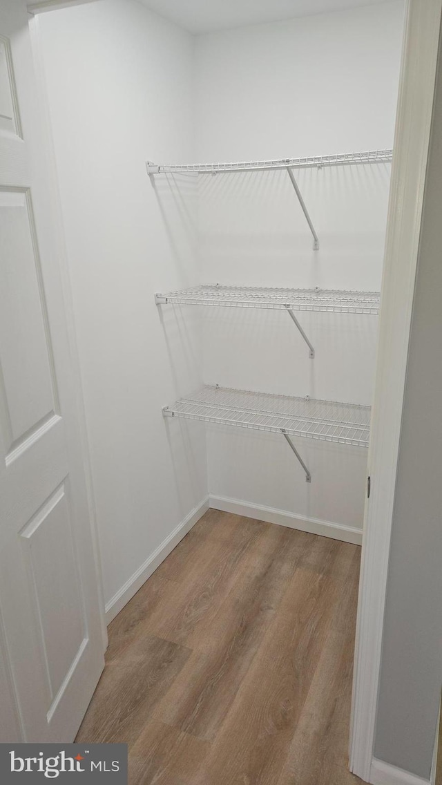 walk in closet with hardwood / wood-style flooring