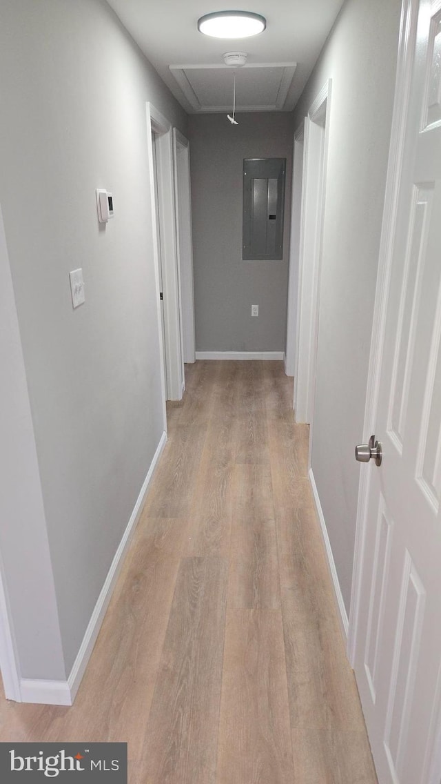 hallway with electric panel and light hardwood / wood-style floors