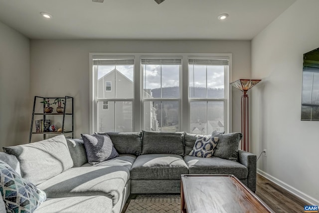 living room with hardwood / wood-style flooring