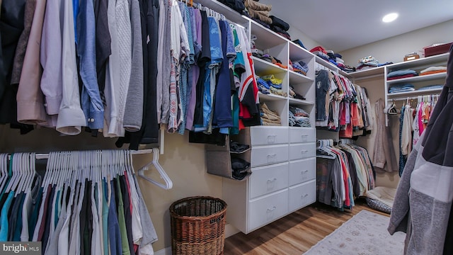 spacious closet featuring light hardwood / wood-style floors