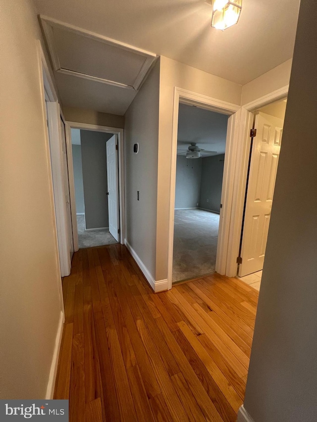 hall featuring hardwood / wood-style flooring