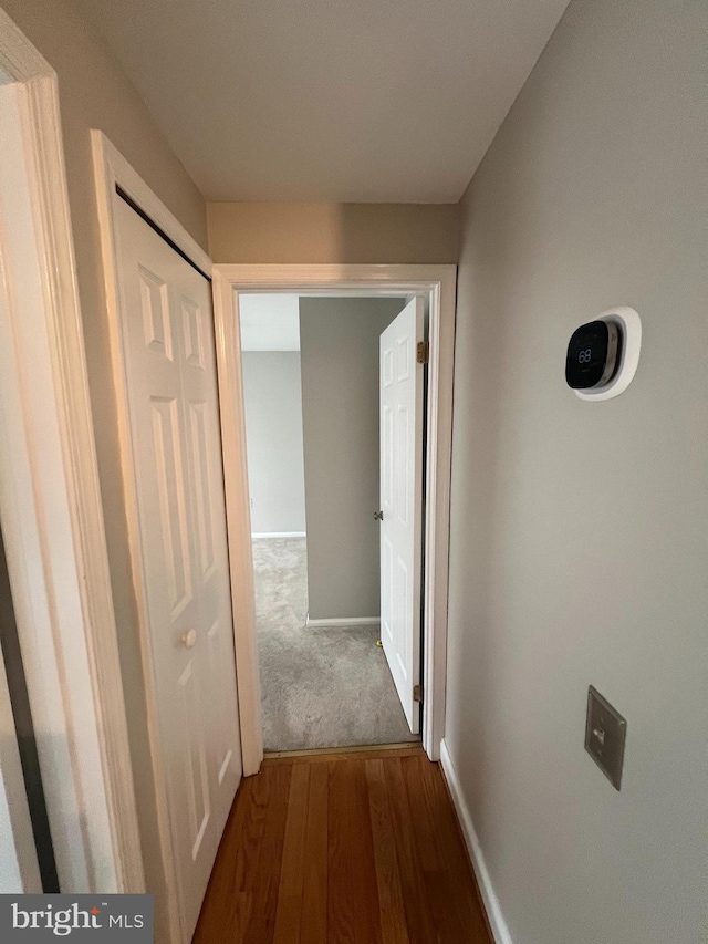 hallway featuring dark hardwood / wood-style flooring