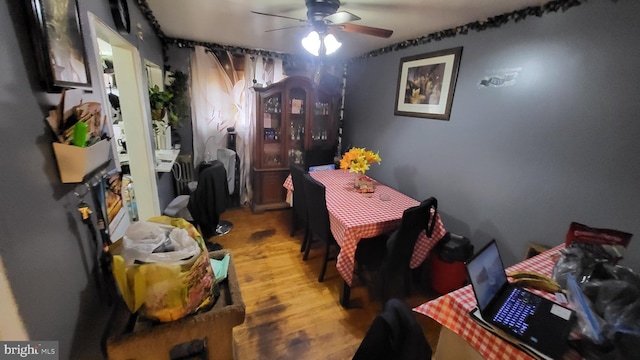 dining area with hardwood / wood-style flooring and ceiling fan