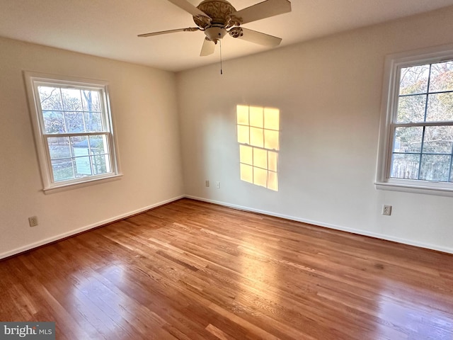 spare room with light hardwood / wood-style floors and ceiling fan